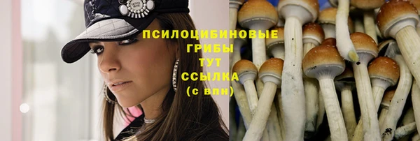 MDMA Армянск
