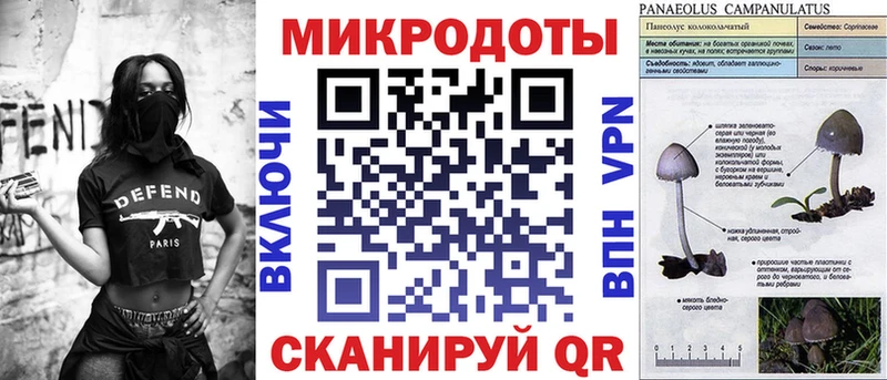 дарнет шоп Кинель Галлюциногенные грибы Cubensis